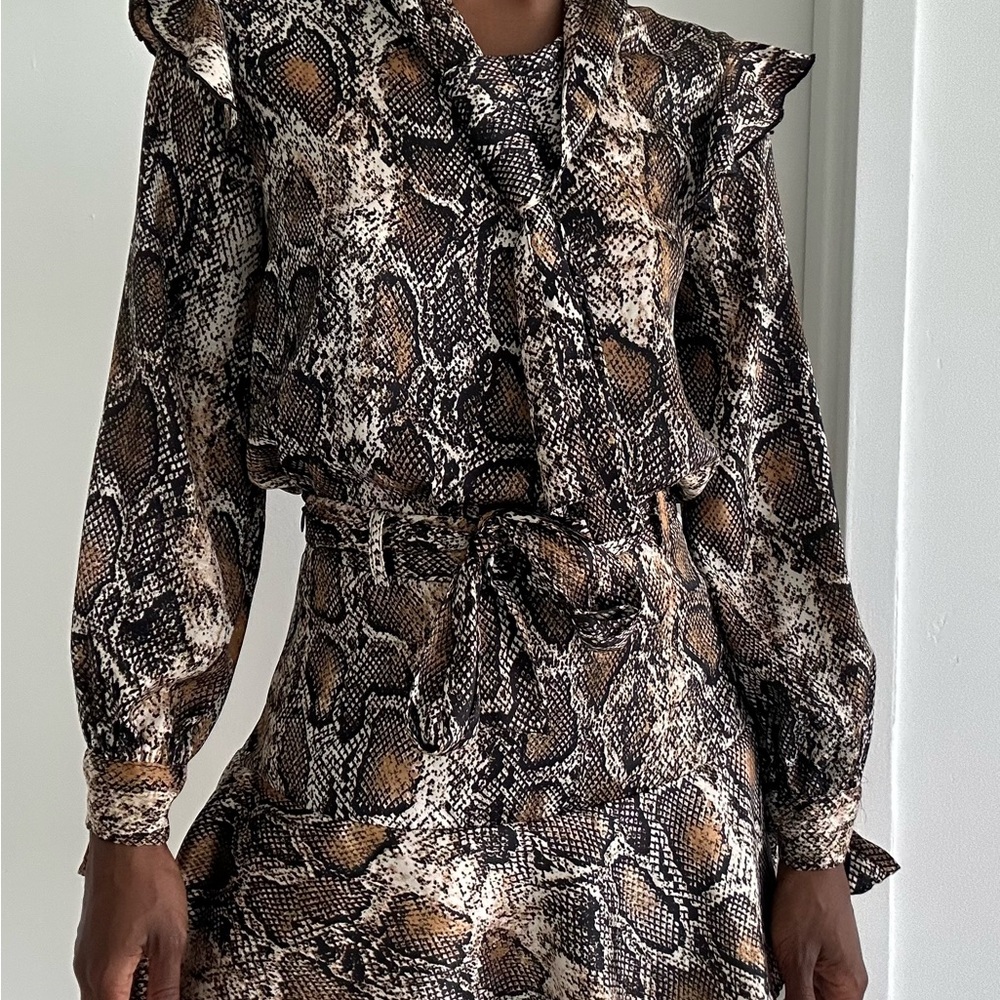 Snake Print Long Sleeve Top+Skirt